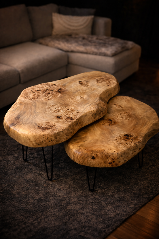 Couchtisch Set aus Pappel