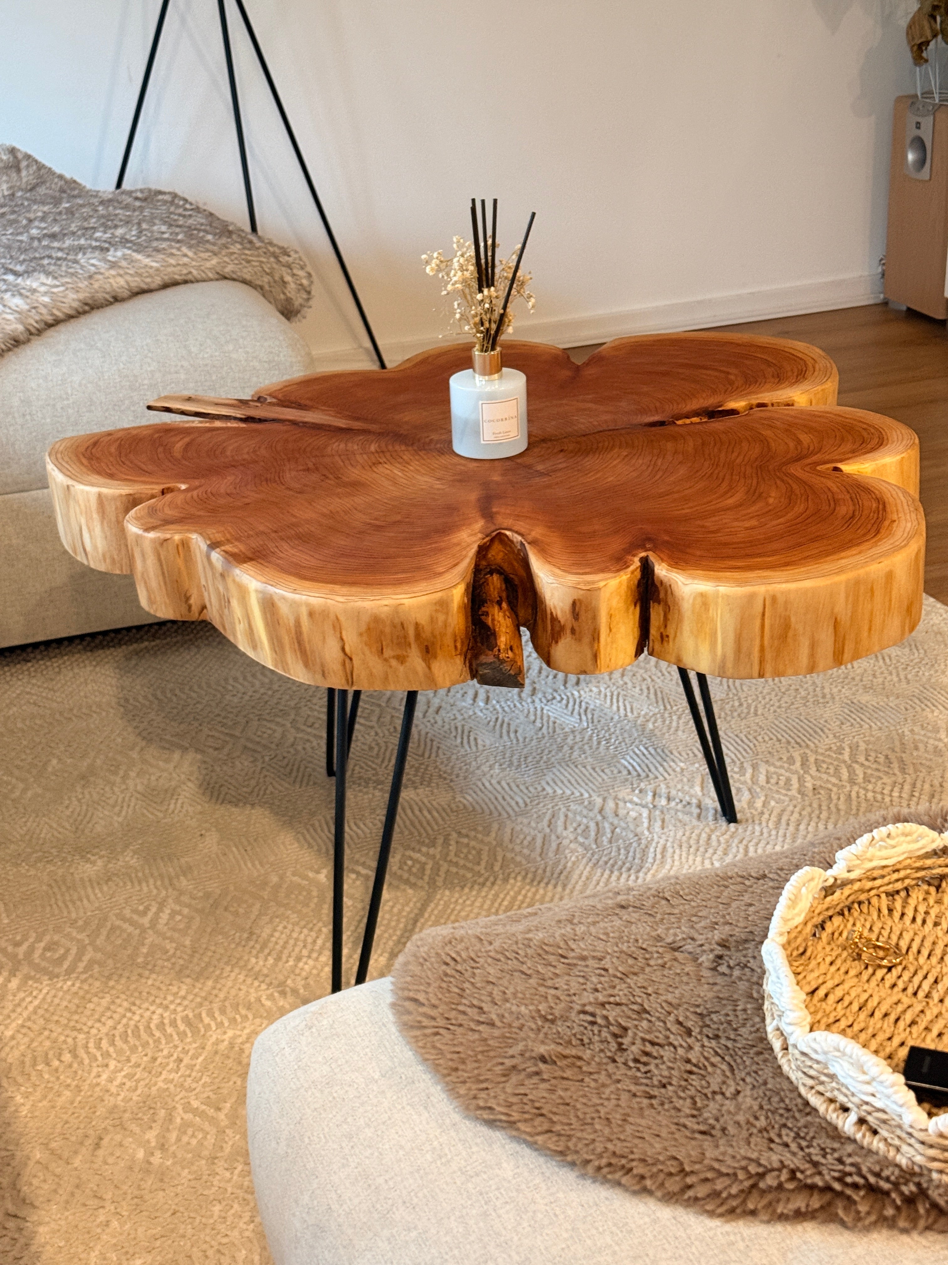 Couchtisch aus Mammutbaumscheibe