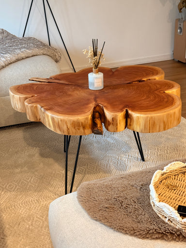 Couchtisch aus Mammutbaumscheibe