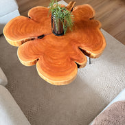 Couchtisch aus Mammutbaumscheibe