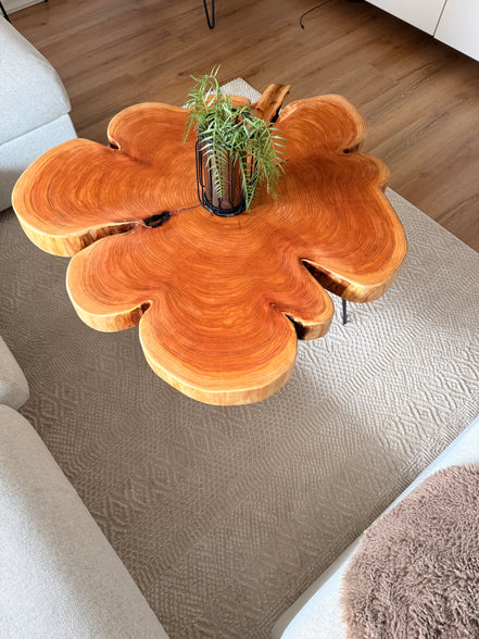 Couchtisch aus Mammutbaumscheibe