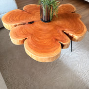 Couchtisch aus Mammutbaumscheibe