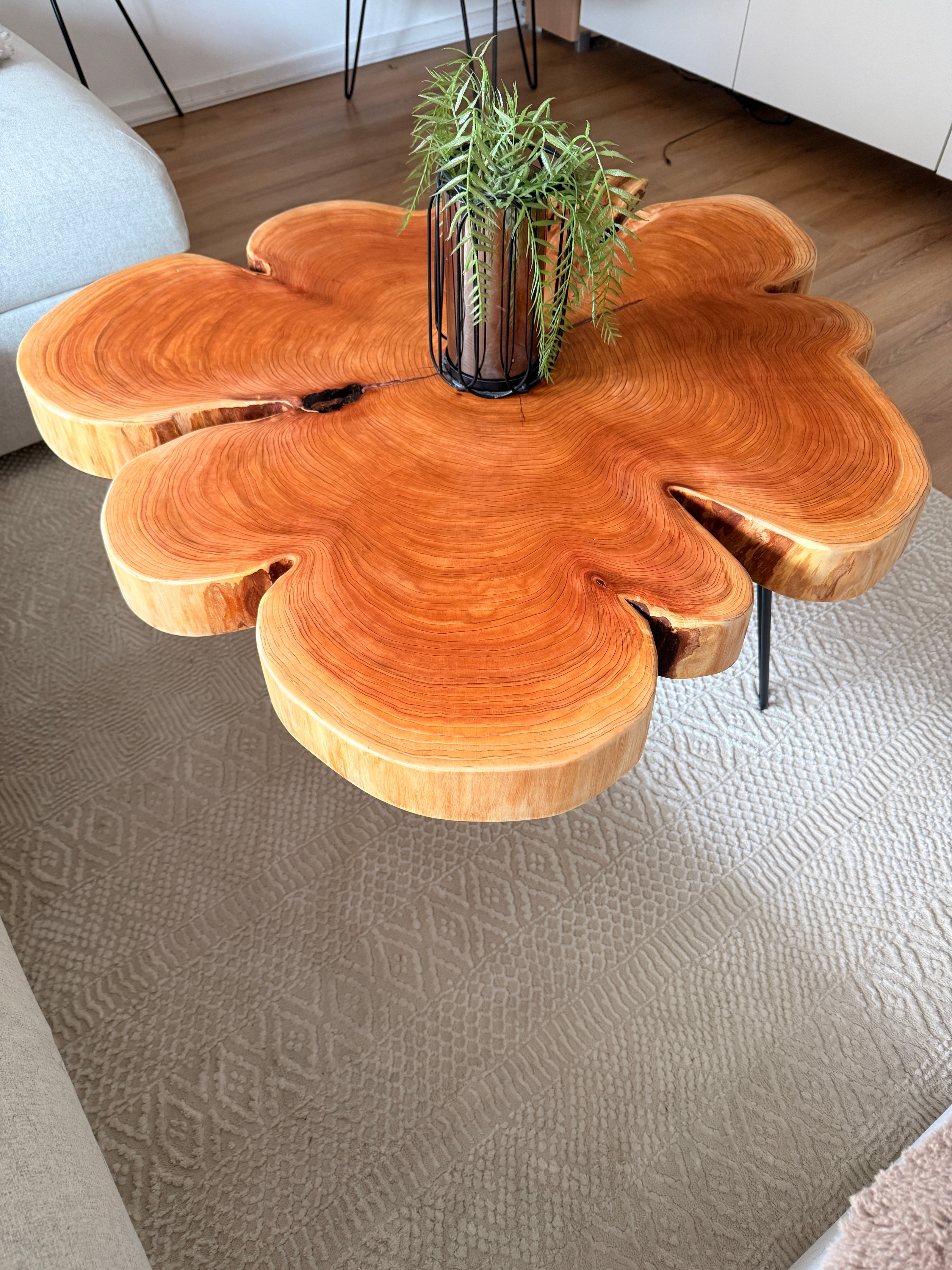 Couchtisch aus Mammutbaumscheibe